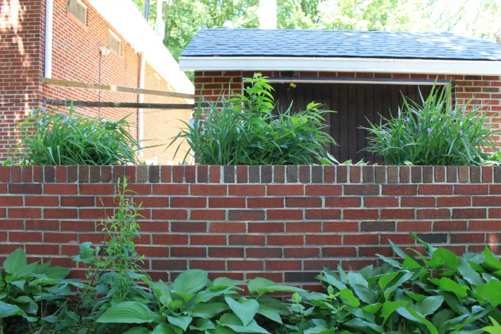 Red brick retaining wall with hostas and garden plants in front