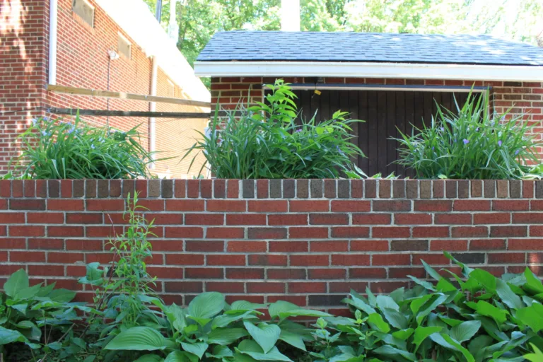 Red brick retaining wall with hostas and garden plants in front