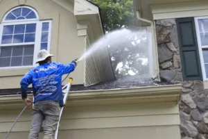 AllPro technician on a ladder spraying the siding and stonework above a front window
