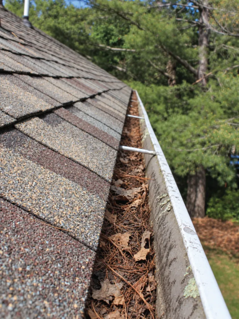 Gutter Cleaning Before