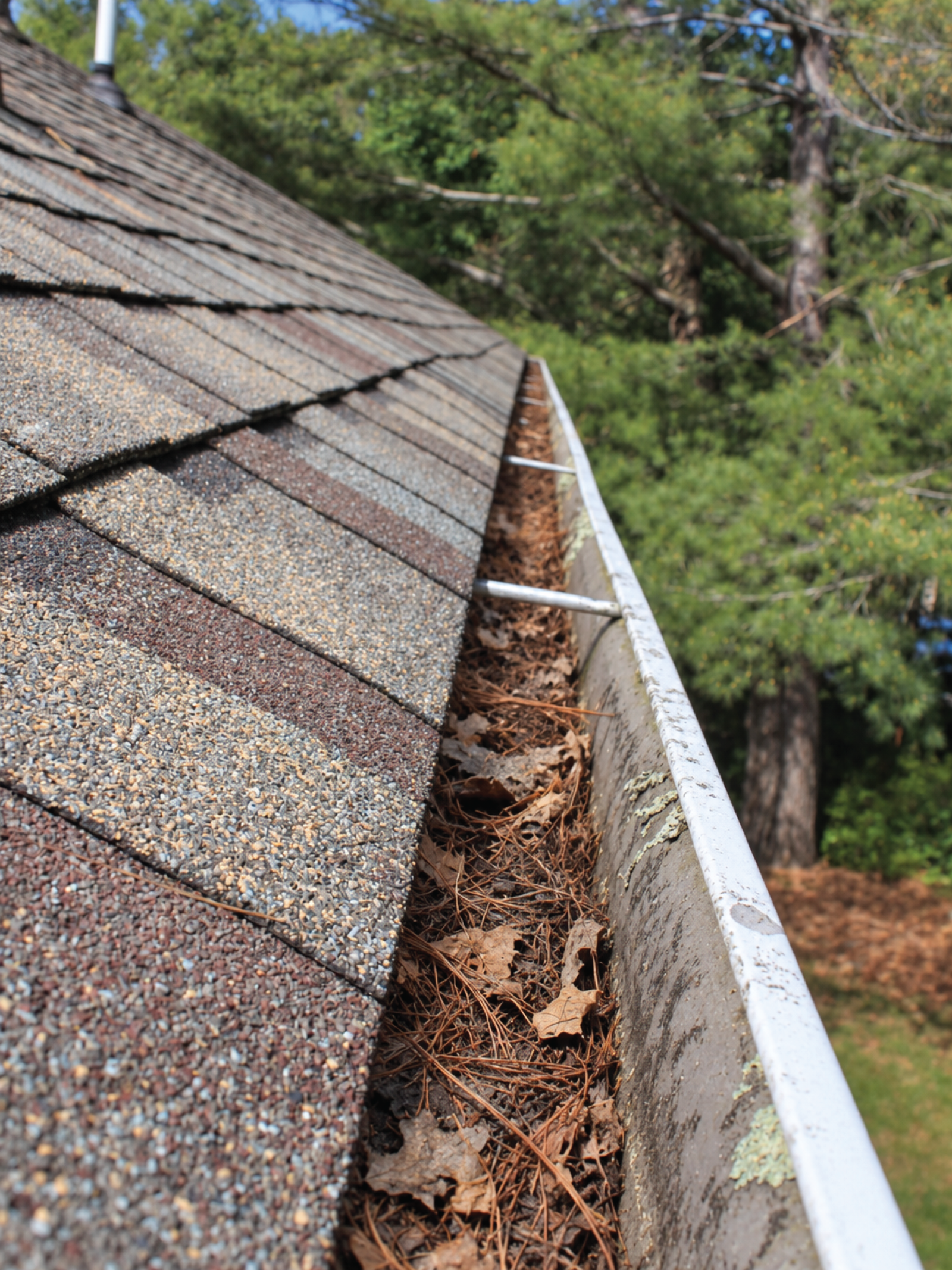 Gutter Cleaning Before
