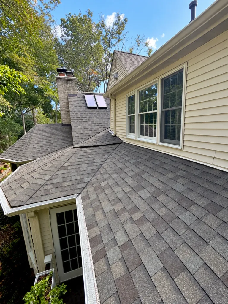 Roof Cleaning After