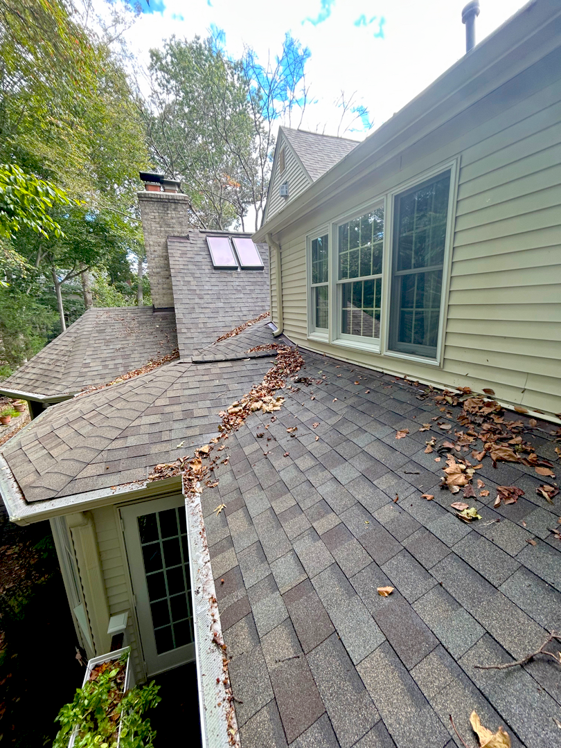 Roof Cleaning Before